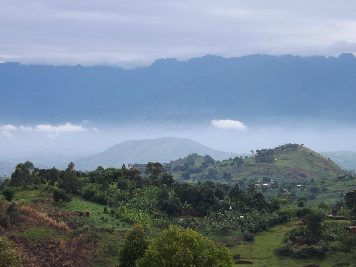 Isunga Lodge Kibale National Park ภายนอก รูปภาพ