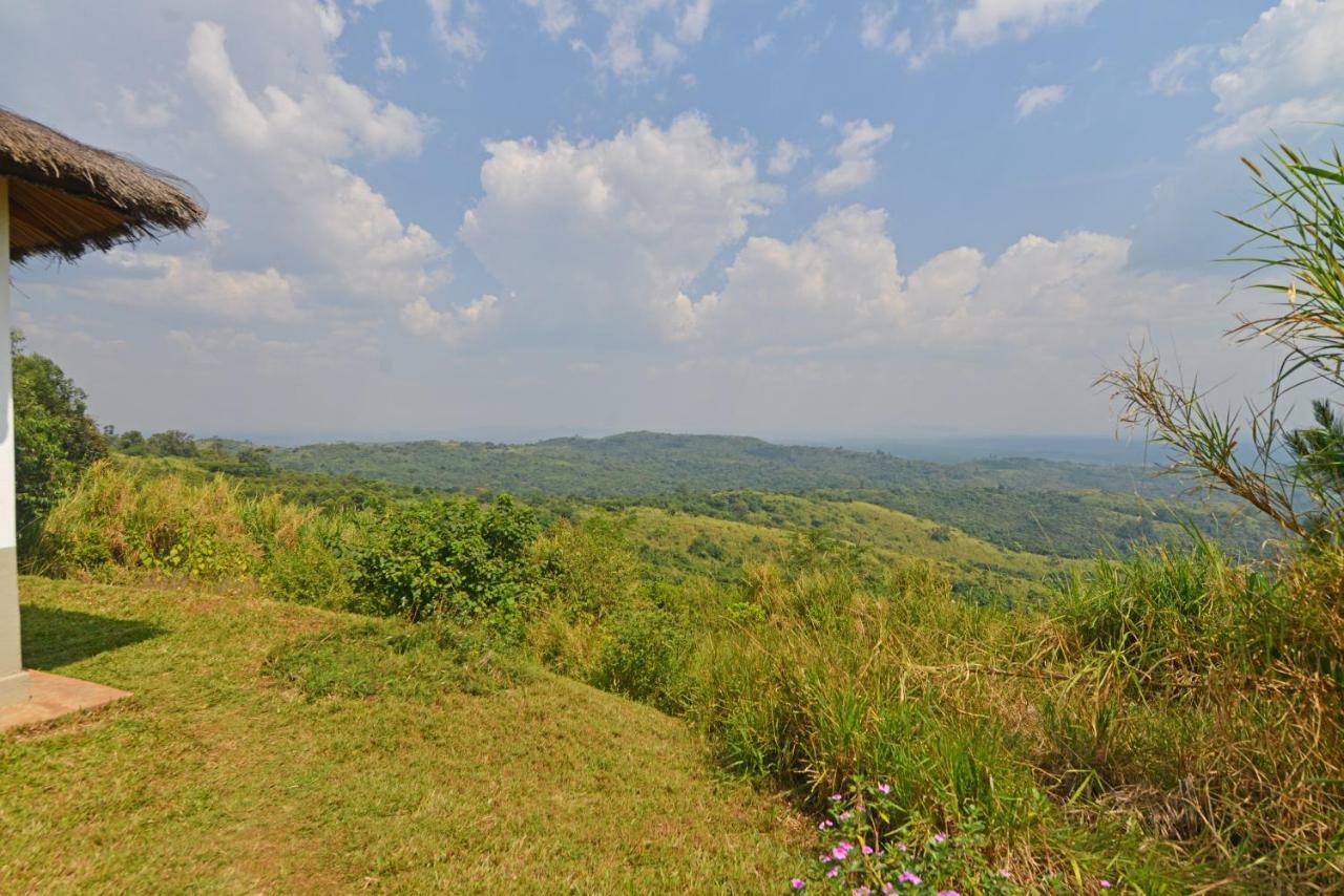 Isunga Lodge Kibale National Park ภายนอก รูปภาพ